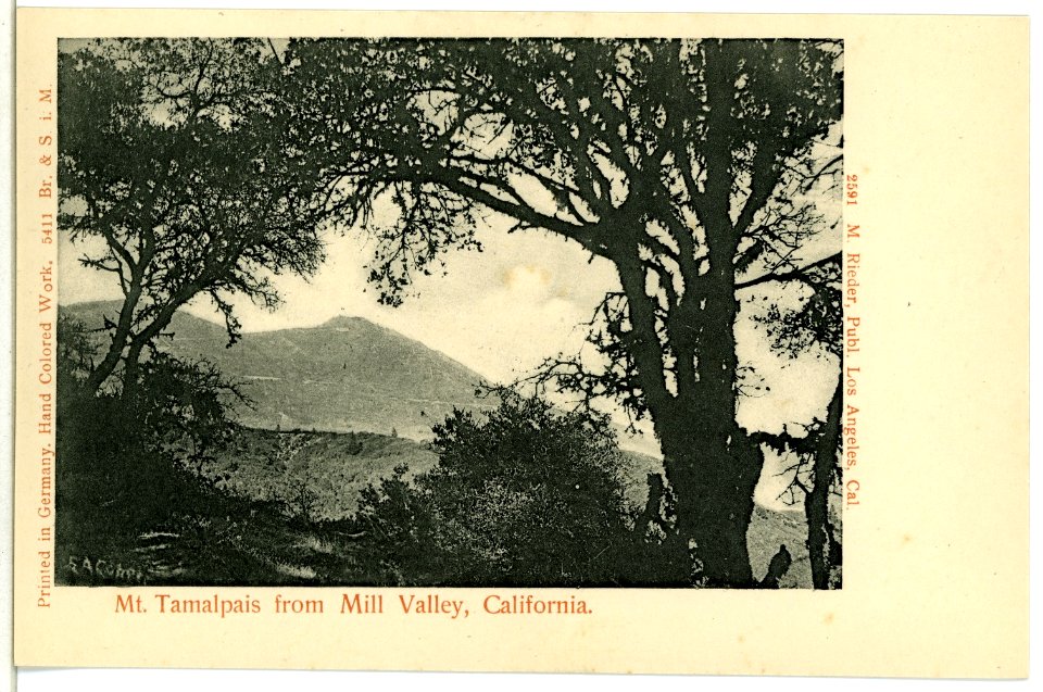 05411-Mill Valley-1904-Mt Tamalpais From Mill Valley Cal.-Brück & Sohn Kunstverlag