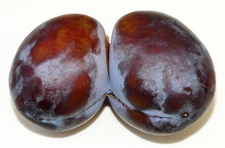 Strange fruit stone fruit photo