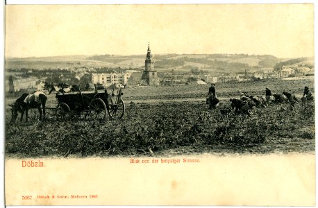 05667-Döbeln-1905-Blick von der Leipziger Straße mit Pferdewagen und Menschen-Brück & Sohn Kunstverlag