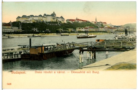 05426-Budapest-1904-Donau mit Dampfschiffen und Burg-Brück & Sohn Kunstverlag