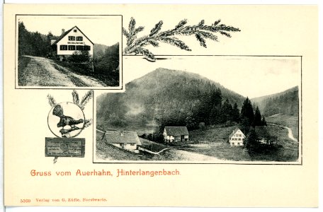 05360-Hinterlangenbach-1904-Gasthof Auerhahn-Brück & Sohn Kunstverlag