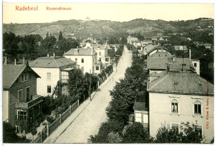 06082-Radebeul-1905-Rosenstraße-Brück & Sohn Kunstverlag