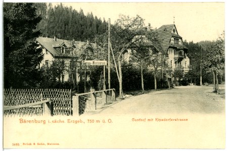 05025-Bärenburg-1904-Gasthof mit Kipsdorfer Straße-Brück & Sohn Kunstverlag