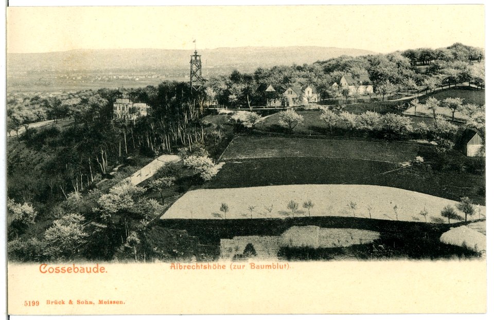 05199-Cossebaude-1904-Albrechtshöhe zur Baumblut-Brück & Sohn Kunstverlag