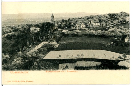 05199-Cossebaude-1904-Albrechtshöhe zur Baumblut-Brück & Sohn Kunstverlag