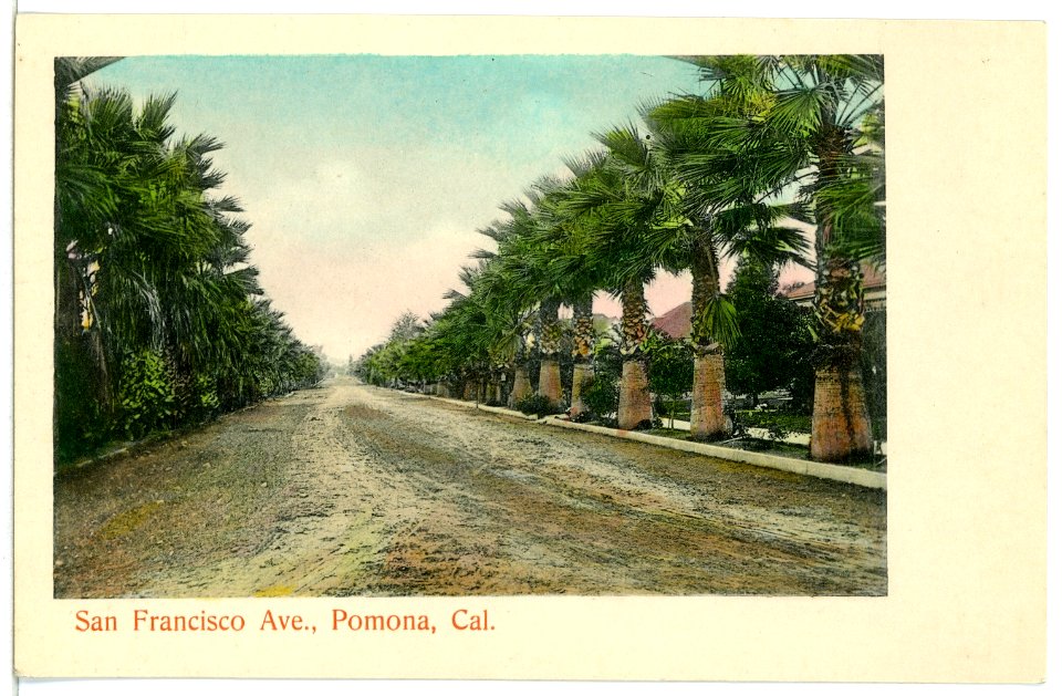 04909-Pomona-1903-San Francisco Ave-Brück & Sohn Kunstverlag
