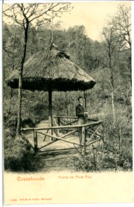 05184-Cossebaude-1904-Pilz im Park-Brück & Sohn Kunstverlag