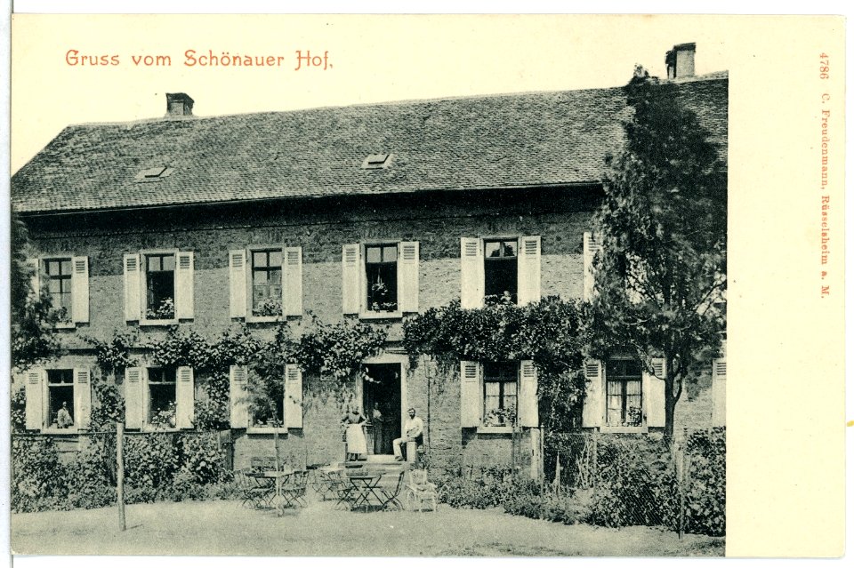 04786-Schönau-1903-Schönauer Hof-Brück & Sohn Kunstverlag