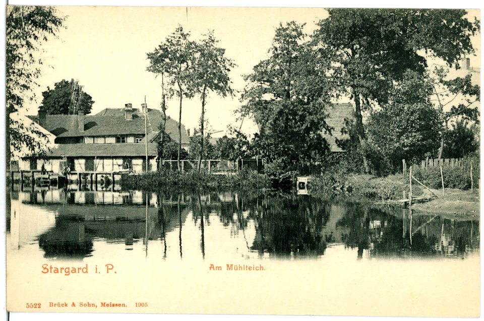 05522-Stargard-1904-Am Mühlteich-Brück & Sohn Kunstverlag