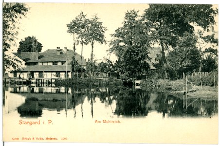 05522-Stargard-1904-Am Mühlteich-Brück & Sohn Kunstverlag
