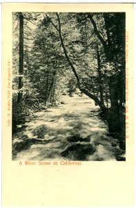 05053-Kalifornien-1904-A River Scene in California-Brück & Sohn Kunstverlag