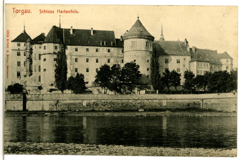 05384-Torgau-1904-Schloß Hartenfels-Brück & Sohn Kunstverlag