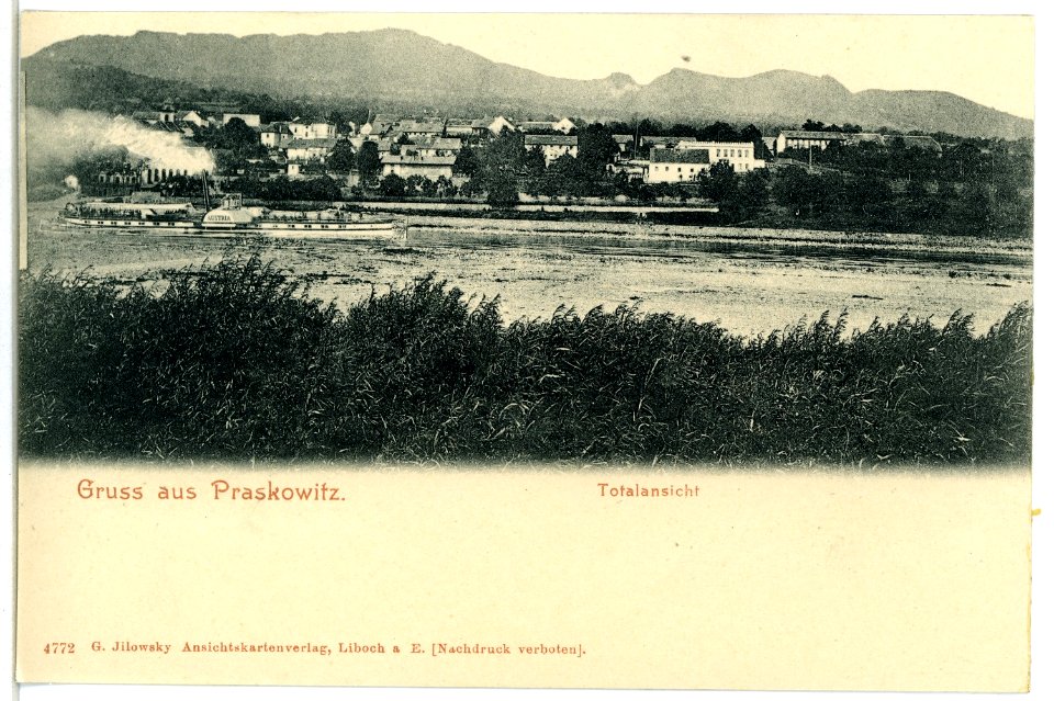 04772-Praskowitz-1903-Blick über die Elbe mit Dampfer Austria-Brück & Sohn Kunstverlag