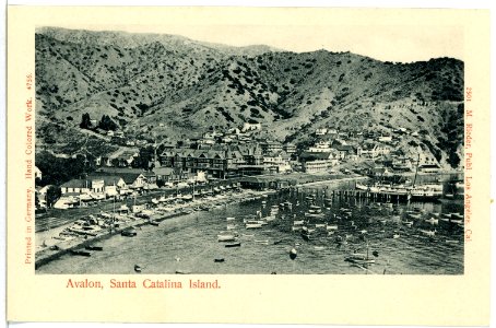 04756-Avalon-1903-Santa Catalina Island-Brück & Sohn Kunstverlag photo