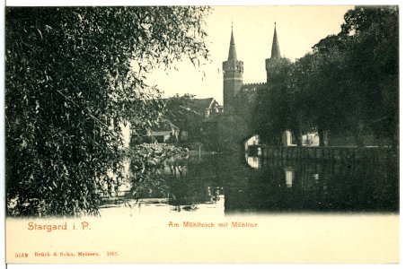 05519-Stargard-1904-Am Mühlteich mit Mühltor-Brück & Sohn Kunstverlag
