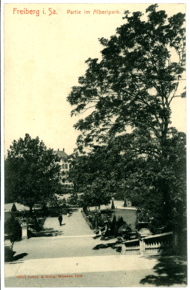 06055-Freiberg-1905-Im Albertpark-Brück & Sohn Kunstverlag
