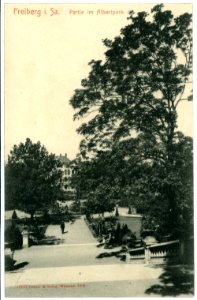 06055-Freiberg-1905-Im Albertpark-Brück & Sohn Kunstverlag