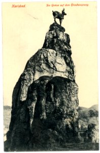 06033-Karlsbad-1905-Die Gemse auf dem Hirschensprung-Brück & Sohn Kunstverlag