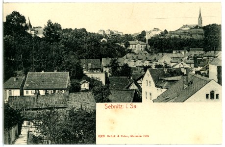 06069-Sebnitz-1905-Blick auf Sebnitz-Brück & Sohn Kunstverlag
