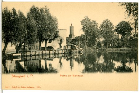 05521-Stargard-1904-Am Mühlteich-Brück & Sohn Kunstverlag