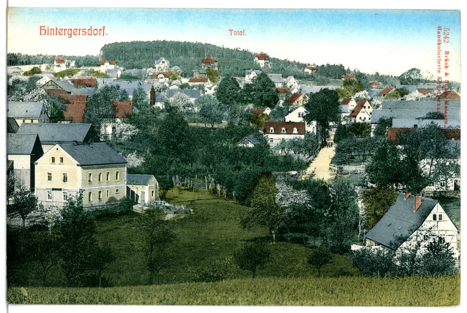 05242-Hintergersdorf-1904-Blick auf Hintergersdorf-Brück & Sohn Kunstverlag