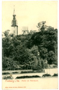 06056-Freiberg-1905-Im Albertpark-Brück & Sohn Kunstverlag