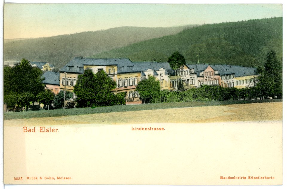 05033-Bad Elster-1904-Lindenstraße-Brück & Sohn Kunstverlag