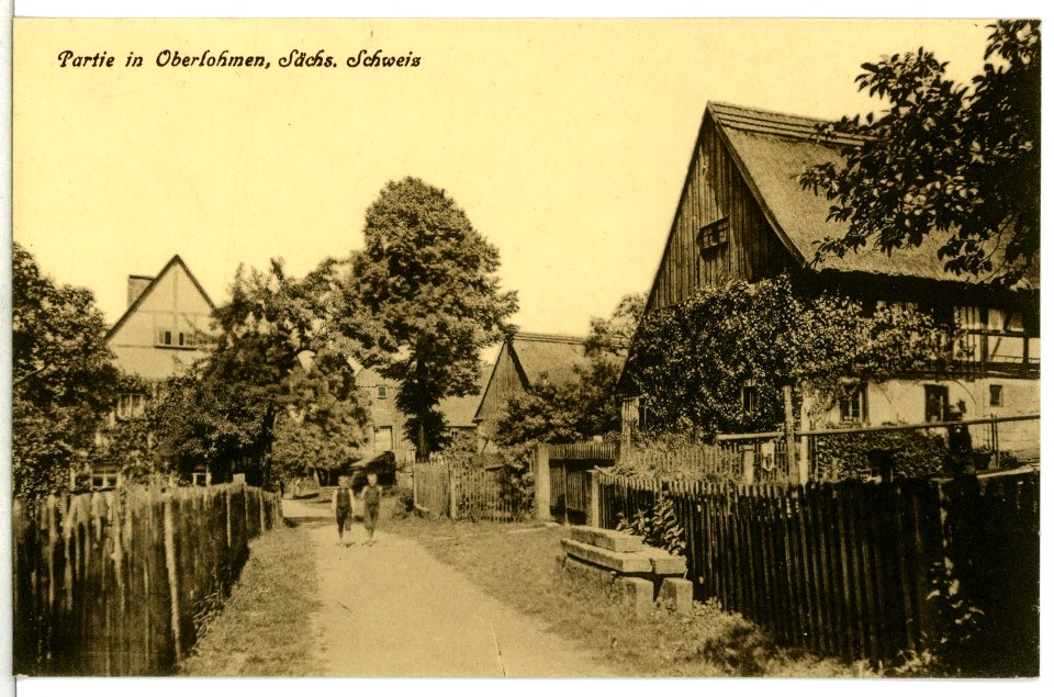 13550-Lohmen-1911-In Oberlohmen-Brück & Sohn Kunstverlag