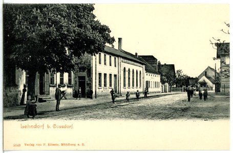 05149-Lehndorf-1904-Dorfstraße-Brück & Sohn Kunstverlag