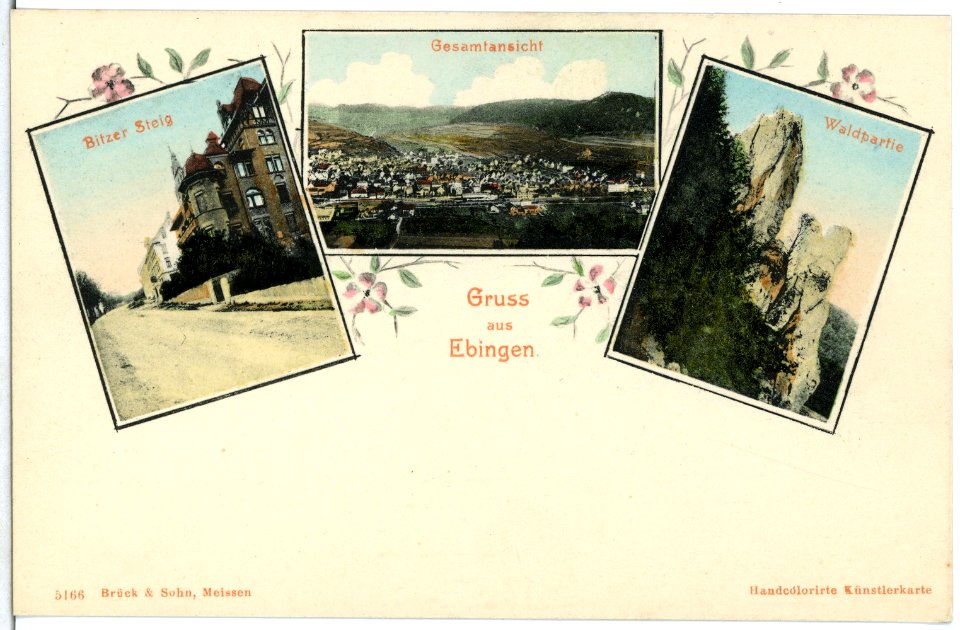 05166-Ebingen-1904-Bitzersteig, Waldpartie, Ortsansicht-Brück & Sohn Kunstverlag