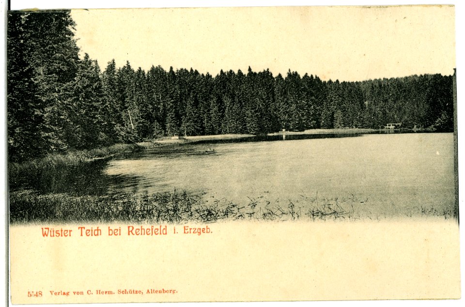 05548-Rehefeld-1904-Wüster Teich-Brück & Sohn Kunstverlag