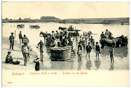 05461-Budapest-1904-Freibad an der Donau-Brück & Sohn Kunstverlag