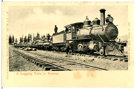 05405-Arizona-1904-A Logging Train in Arizona-Brück & Sohn Kunstverlag