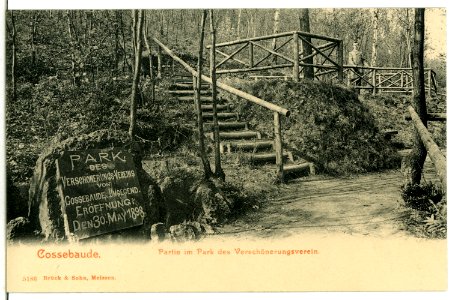 05186-Cossebaude-1904-Im Park des Verschönerungsvereins-Brück & Sohn Kunstverlag