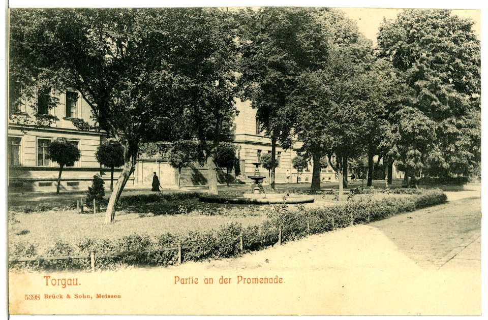 05398-Torgau-1904-In der Promenade-Brück & Sohn Kunstverlag
