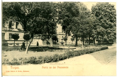 05398-Torgau-1904-In der Promenade-Brück & Sohn Kunstverlag