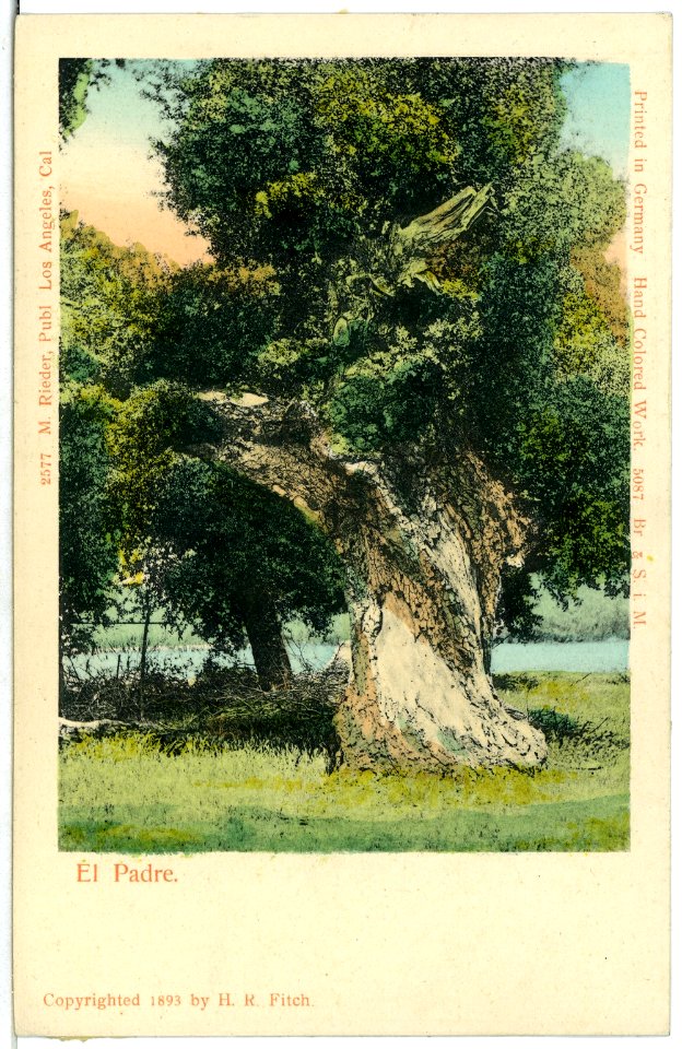 05087-El. Padre-1904-El Padre-Brück & Sohn Kunstverlag