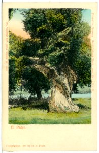 05087-El. Padre-1904-El Padre-Brück & Sohn Kunstverlag