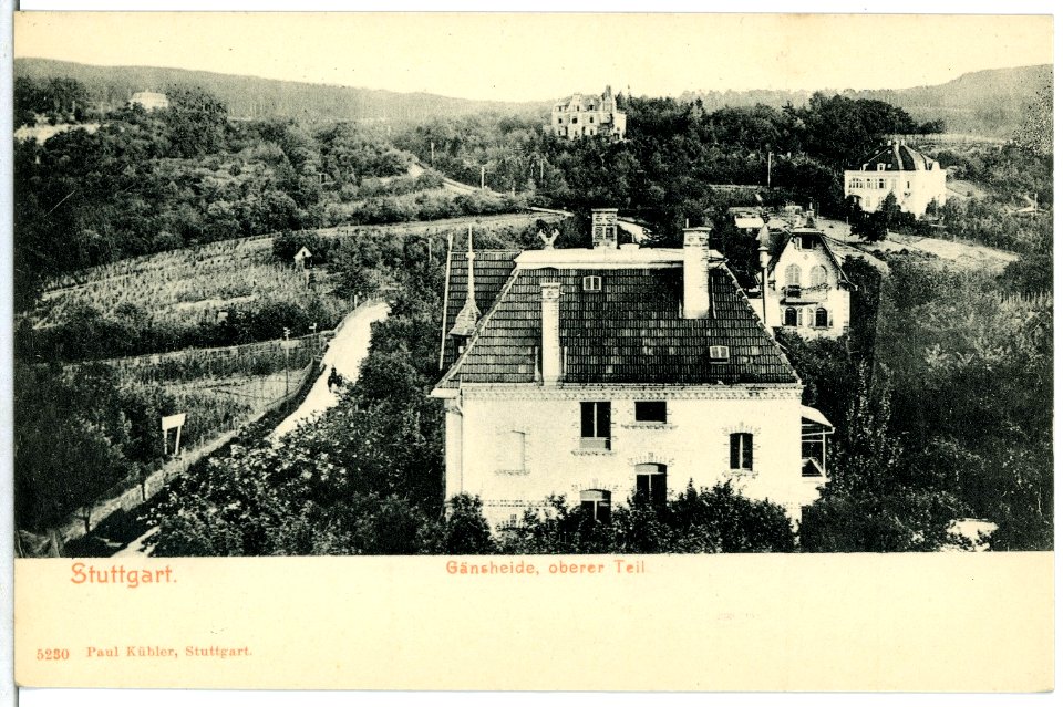 05230-Stuttgart-1904-Gänseheide oberer Teil-Brück & Sohn Kunstverlag