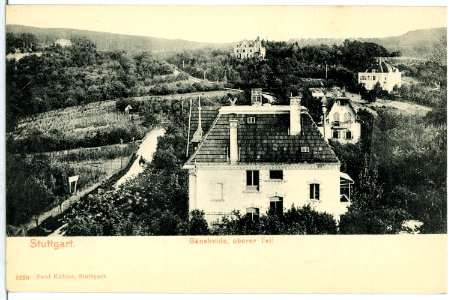 05230-Stuttgart-1904-Gänseheide oberer Teil-Brück & Sohn Kunstverlag