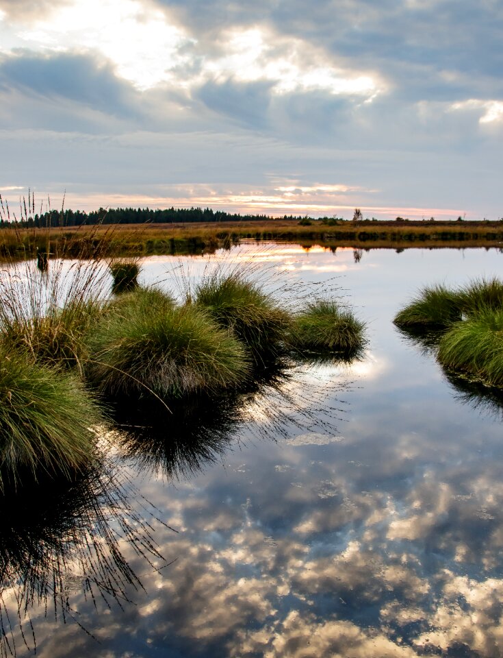 Nature nature reserve moorland