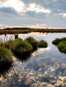 Nature nature reserve moorland