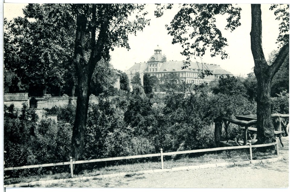 13898-Weißenfels-1912-Blick aufs Schloß-Brück & Sohn Kunstverlag