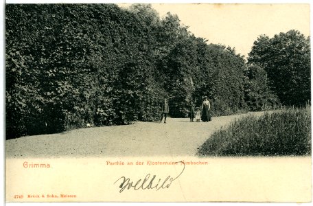 04749-Grimma-1903-An der Klosteruine Nimbschen-Brück & Sohn Kunstverlag