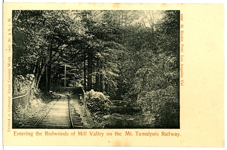 05410-Mill Valley-1904-Entering the Redwwods of Mill Valley on the Mt. Tamalpais Railway-Brück & Sohn Kunstverlag
