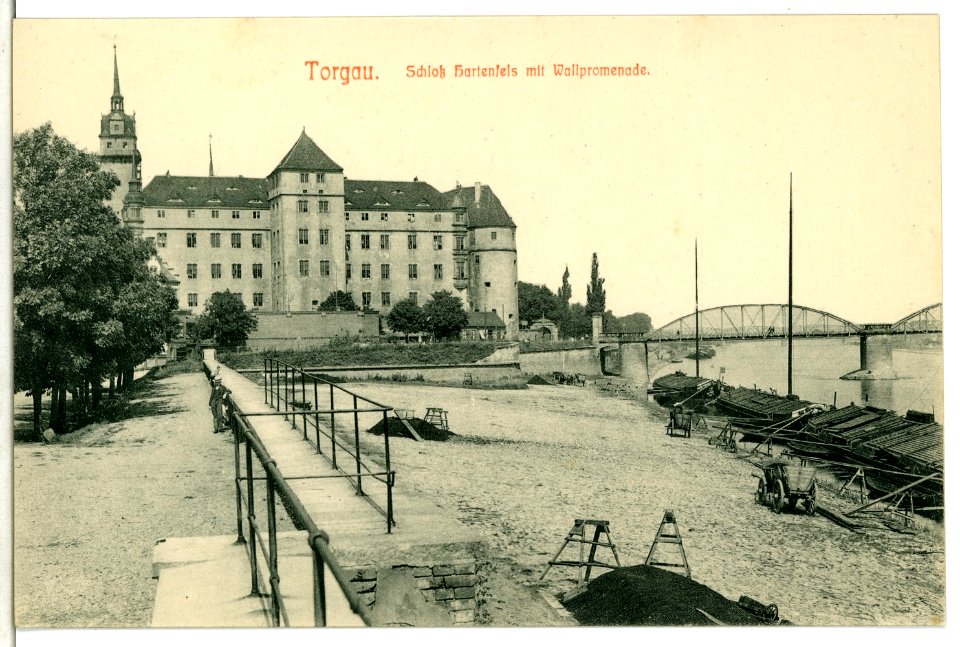 05383-Torgau-1904-Schloß mit Wallpromenade und Frachtkähnen-Brück & Sohn Kunstverlag