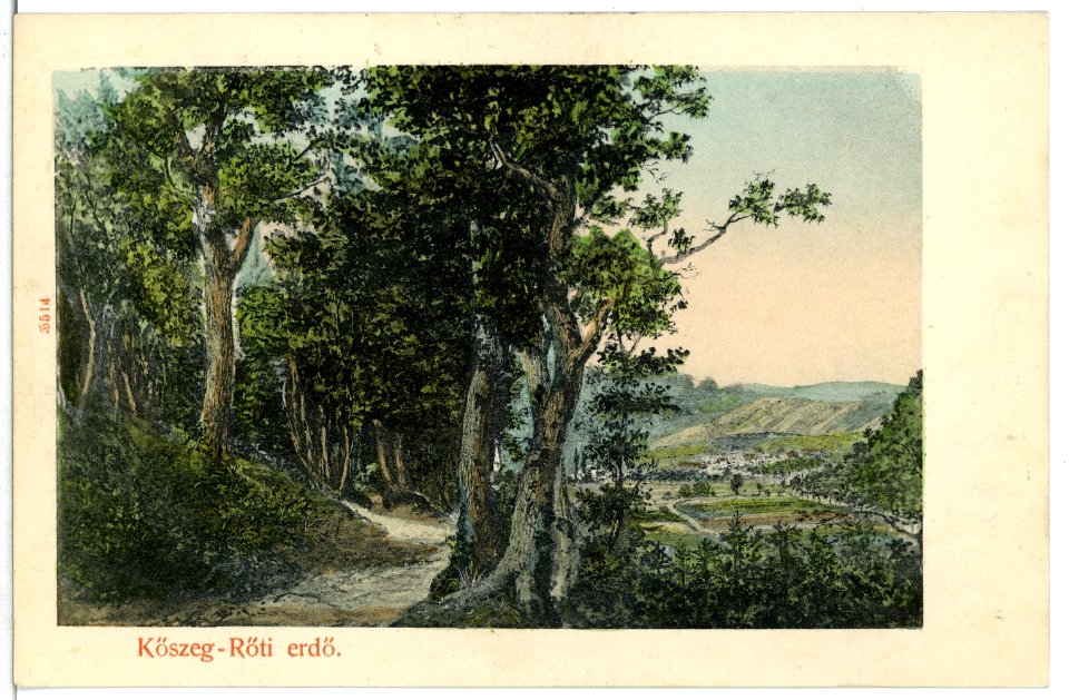 05514-Köszeg-1904-Köszeg-Röti erdö-Brück & Sohn Kunstverlag