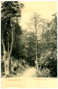 05248-Hintergersdorf-1904-Thalmühlengrund-Brück & Sohn Kunstverlag