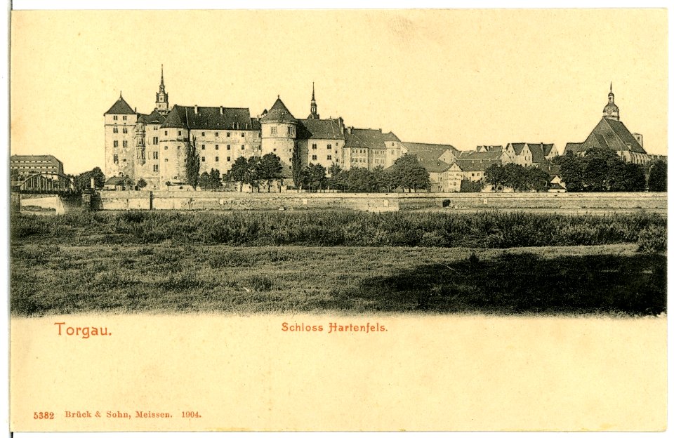 05382-Torgau-1904-Schloß Hartenfels-Brück & Sohn Kunstverlag