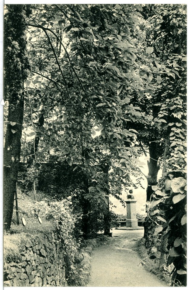 13597-Tharandt-1911-Forstgarten-Brück & Sohn Kunstverlag